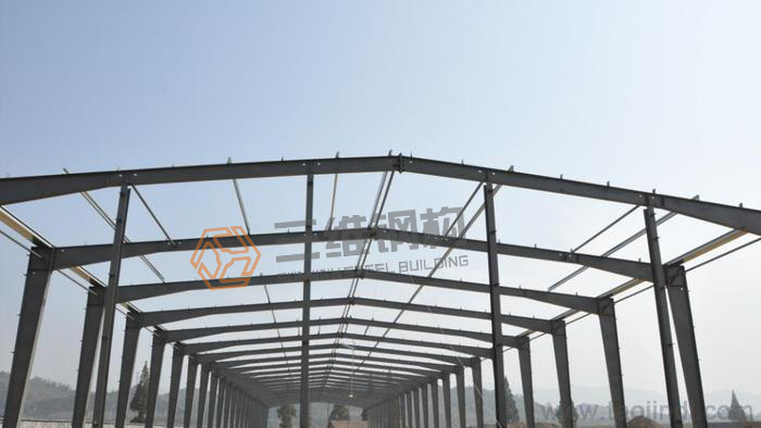 山东三维钢结构公司轻钢厂房项目